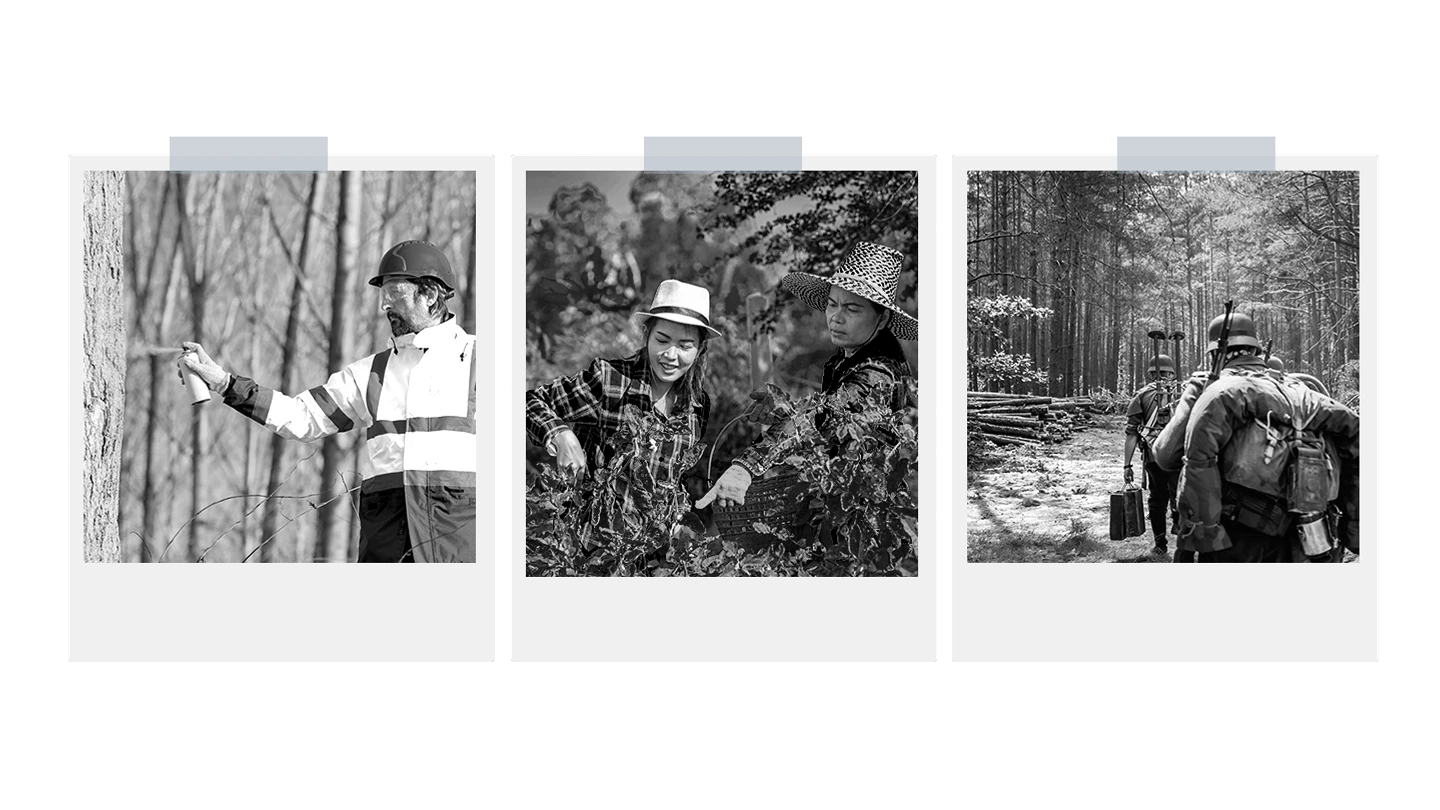 three polaroid images of different people at risk